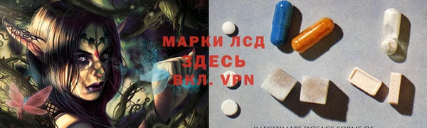 ГАЛЛЮЦИНОГЕННЫЕ ГРИБЫ Бородино