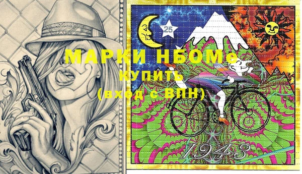 ГАЛЛЮЦИНОГЕННЫЕ ГРИБЫ Бородино